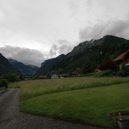 Pristine Home In A Charming Village Large Grassy Sunbathing Area View Of The M Nch And Jungfrau Wilderswil Eksteriør billede