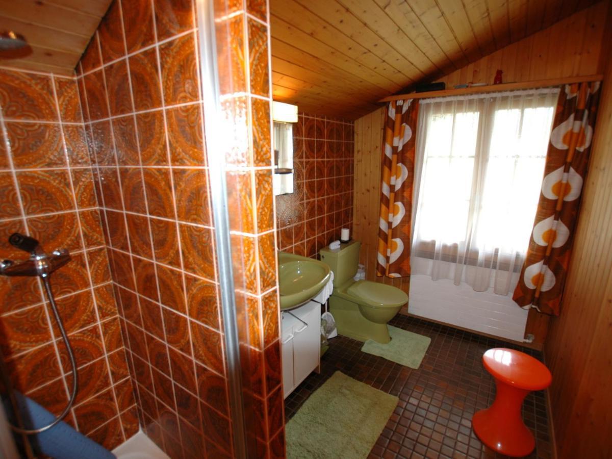 Pristine Home In A Charming Village Large Grassy Sunbathing Area View Of The M Nch And Jungfrau Wilderswil Eksteriør billede