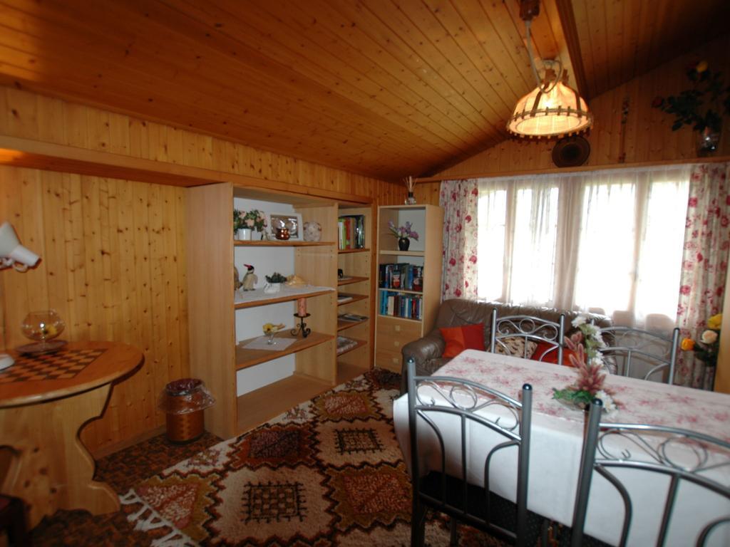 Pristine Home In A Charming Village Large Grassy Sunbathing Area View Of The M Nch And Jungfrau Wilderswil Eksteriør billede